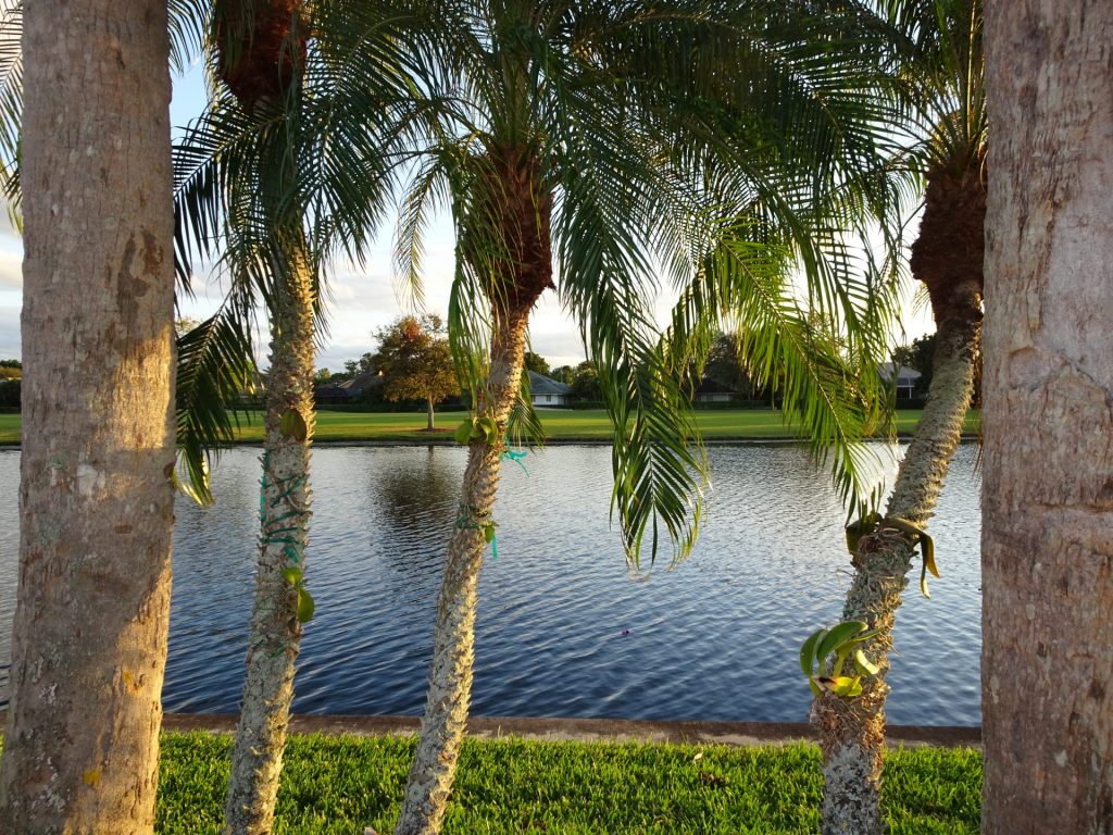 New Homes in Winter Garden FL